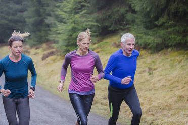 Familie joggt im Wald - HOXF04463