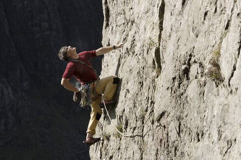 Männlicher Bergsteiger beim Erklimmen einer Felswand, Blick nach oben - HOXF04486
