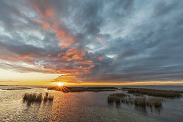 New Zealand, Tasman District, Puponga, Golden Bay at cloudy sunrise - FOF11390