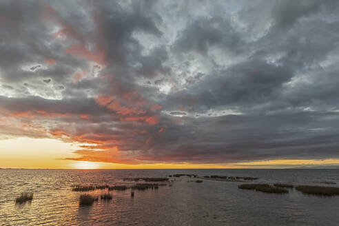 Neuseeland, Tasmanischer Bezirk, Puponga, Golden Bay bei bewölktem Sonnenaufgang - FOF11392