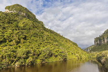 Neuseeland, Bezirk Buller, Punakaiki, Porarari River, der an einem bewaldeten Hügel vorbeifließt - FOF11397