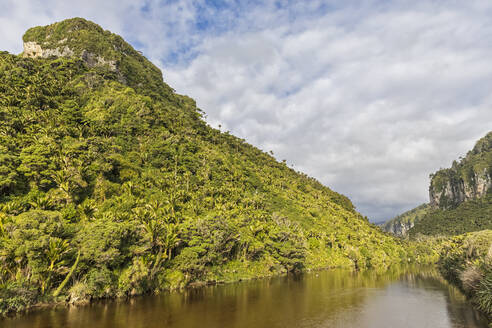 Neuseeland, Bezirk Buller, Punakaiki, Porarari River, der an einem bewaldeten Hügel vorbeifließt - FOF11397