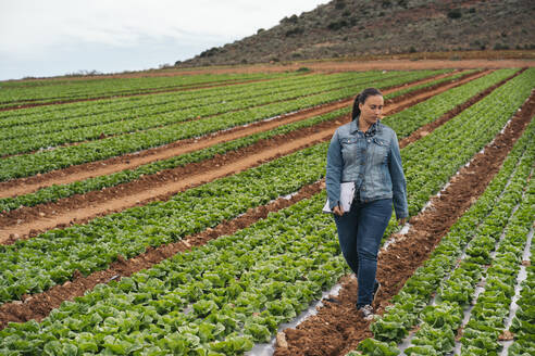 Woman with tablet and clipboard walking in lettuce field - MPPF00381