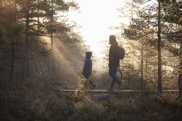 Vater und Sohn gehen auf Brettern im Wald, Finnland - CUF53546