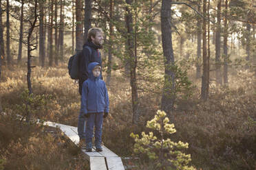 Vater und Sohn erkunden den Wald, Finnland - CUF53551