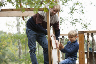 Father and son building treehouse together in garden - CUF53577