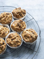 Frisch gebackene Muffins mit Schokoladenstückchen auf dem Kühlblech - CUF53615