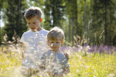 Brothers exploring and playing in meadows - CUF53624