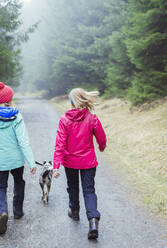 Women with dog hiking in woods - HOXF04647