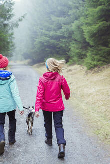 Frauen mit Hund beim Wandern im Wald - HOXF04647