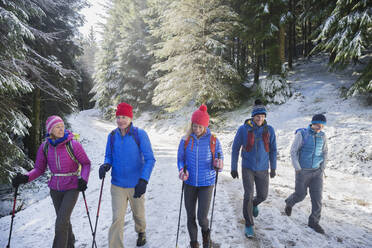 Familienwanderung im verschneiten Wald - HOXF04733