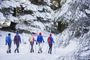 Familienwanderung im verschneiten Wald - HOXF04744