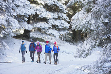 Familienwanderung im verschneiten Wald - HOXF04754