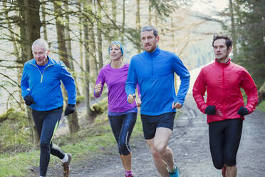 Familie joggt im Wald - HOXF04788