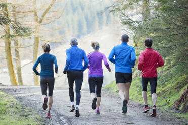 Familie joggt im Wald - HOXF04789