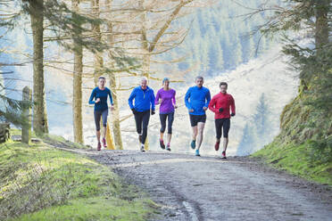 Familie joggt im Wald - HOXF04792