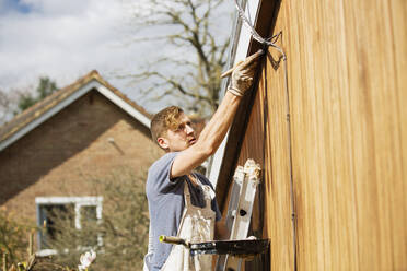Male painter on ladder painting home exterior trim - HOXF04894