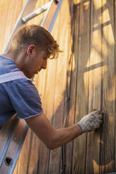 Männlicher Arbeiter auf einer Leiter, der Holzverkleidungen an der Außenseite eines Hauses färbt - HOXF04899