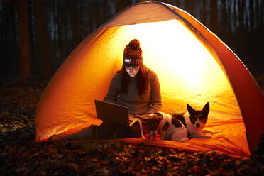 Frau mit Hund benutzt Laptop in leuchtendem Zelt - CAIF23413