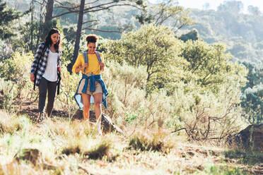 Junge Freundinnen wandern im sonnigen Wald - CAIF23594