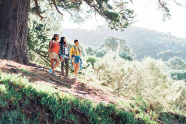 Mutter und Töchter wandern im sonnigen Wald - CAIF23595