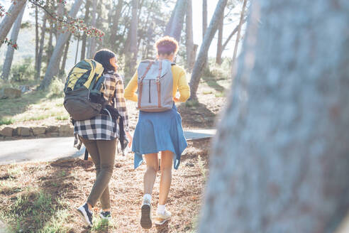 Junge Frauen Freunde mit Rucksäcken wandern in sonnigen Wäldern - CAIF23600