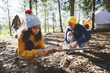 Bruder und Schwester beim Sammeln von Brennholz auf einem Campingplatz in einem sonnigen Wald - CAIF23705