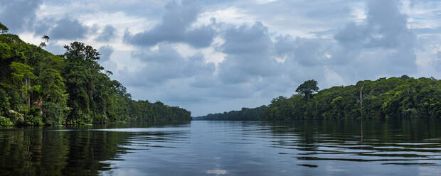 Tortuguero-Nationalpark, Provinz Limon, Costa Rica, Mittelamerika - RHPLF12999