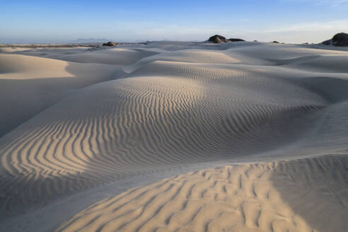 Muster in den Dünen am Sand Dollar Beach, Magdalena Island, Baja California Sur, Mexiko, Nordamerika - RHPLF13009