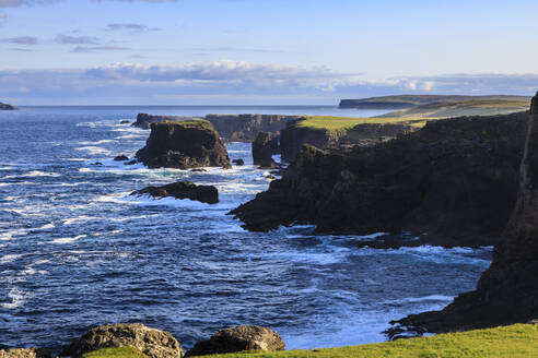 Eshaness, zerklüftete Klippen, Stacks, Geos und Blow Holes, Northmavine, Festland, Shetlandinseln, Schottland, Vereinigtes Königreich, Europa - RHPLF13028