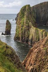 Westerwick, dramatic coastal views, red granite sea cliffs and stacks, West Mainland, Shetland Isles, Scotland, United Kingdom, Europe - RHPLF13043