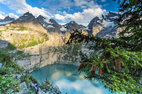 Bäume und Tannenzapfen umrahmen den Oeschinensee bei Sonnenuntergang, Berner Oberland, Kandersteg, Kanton Bern, Schweiz, Europa - RHPLF13058