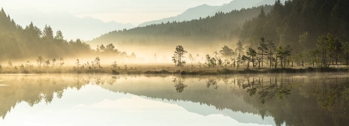 Panorama der Bäume, die sich im Naturschutzgebiet Pian di Gembro während eines nebligen Sonnenaufgangs spiegeln, Aprica, Valtellina, Lombardei, Italien, Europa - RHPLF13095