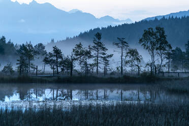 Abenddämmerung über Bäumen, die sich im Sumpf des Naturparks Pian di Gembro spiegeln, Aprica, Provinz Sondrio, Valtellina, Lombardei, Italien, Europa - RHPLF13096