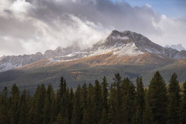 Gebirgskette bei Morant's Curve im Herbstlaub, Banff-Nationalpark, UNESCO-Welterbe, Alberta, Rocky Mountains, Kanada, Nordamerika - RHPLF13117