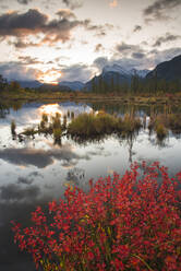 Sunrise at Vermillion Lakes with Mount Rundle in autumn, Banff National Park, UNESCO World Heritage Site, Alberta, Rocky Mountains, Canada, North America - RHPLF13119