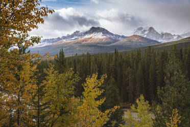 Gebirgskette bei Morant's Curve im Herbstlaub, Banff-Nationalpark, UNESCO-Welterbe, Alberta, Rocky Mountains, Kanada, Nordamerika - RHPLF13121