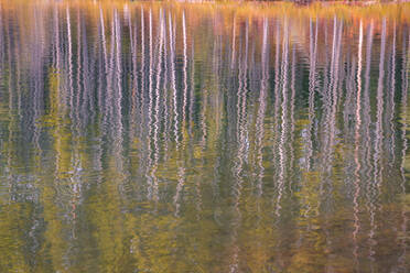 Autumn aspens reflected in a lake, Banff National Park, UNESCO World Heritage Site, Alberta, Rocky Mountains, Canada, North America - RHPLF13125