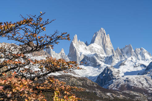 Gipfel des Fitz Roy-Gebirges in herbstlicher Landschaft, El Chalten, Nationalpark Los Glaciares, UNESCO-Weltkulturerbe, Provinz Santa Cruz, Argentinien, Südamerika - RHPLF13143