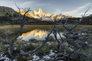 Fitz Roy reflection at dawn from Mirador Fitz Roy, with trees in the foreground, El Chalten,, Los Glaciares National Park, UNESCO World Heritage Site, Santa Cruz province, Argentina, South America - RHPLF13144