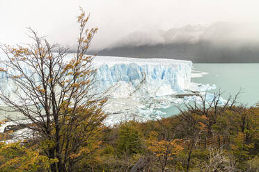 Perito Moreno mit Bäumen, Lago Argentino und Bergen im Herbst, Nationalpark Los Glaciares, UNESCO-Weltkulturerbe, Provinz Santa Cruz, Argentinien, Südamerika - RHPLF13150