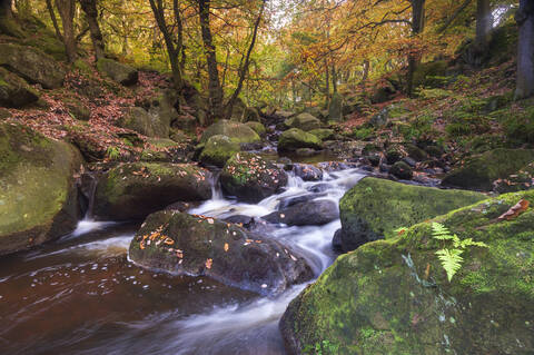 Fließender Fluss und Herbstfarben in der Padley-Schlucht, Peak District National Park, Derbyshire, England, Vereinigtes Königreich, Europa, lizenzfreies Stockfoto