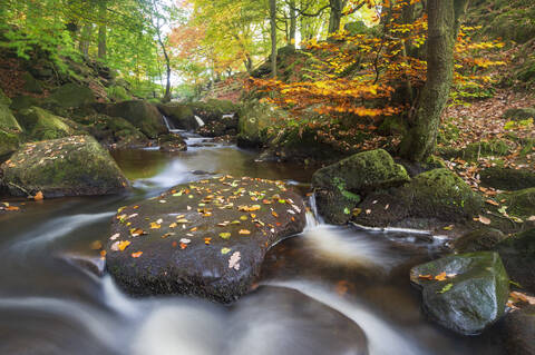 Padley Gorge im Herbst, Peak District National Park, Derbyshire, England, Vereinigtes Königreich, Europa, lizenzfreies Stockfoto