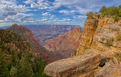Blick auf den Grand Canyon kurz unterhalb des Gipfels des Buggeln Hill am South Rim, Grand Canyon National Park, UNESCO-Weltkulturerbe, Arizona, Vereinigte Staaten von Amerika, Nordamerika - RHPLF13197