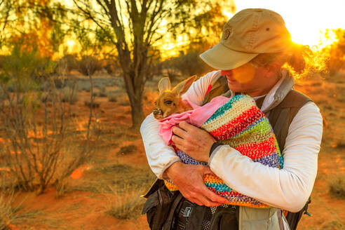 Tourist hält verwaistes Känguru-Baby bei Sonnenuntergang im australischen Outback, Red Center, Northern Territory, Australien, Pazifik - RHPLF13209