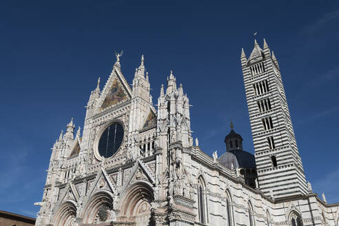 Duomo, der Dom von Siena, UNESCO-Weltkulturerbe, Toskana, Italien, Europa - RHPLF13222