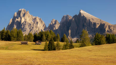 Alpe Di Siusi, Seiser Alm, South Tyrol, Dolomites, Italy, Europe - RHPLF13316