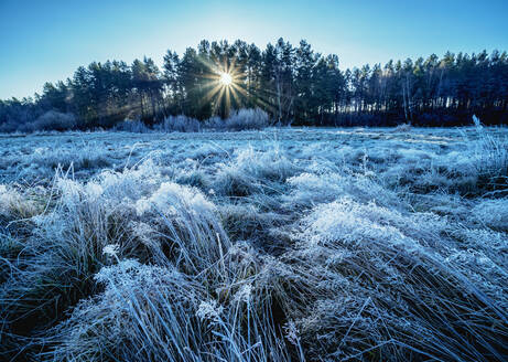 Morgenfrost in Gorajec, Woiwodschaft Lublin, Polen, Europa - RHPLF13335