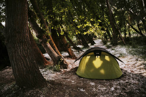 Silhouette of couple inside a tent in the woods - MIMFF00042