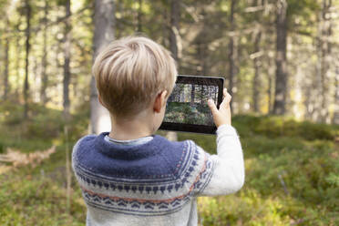 Junge fotografiert den Wald - CUF53713
